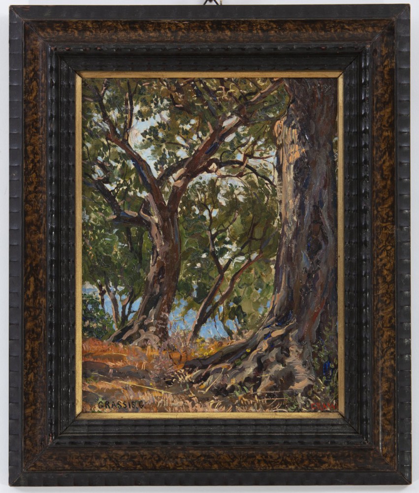giuseppe grassis: Ulivi a Celle Ligure, Savona